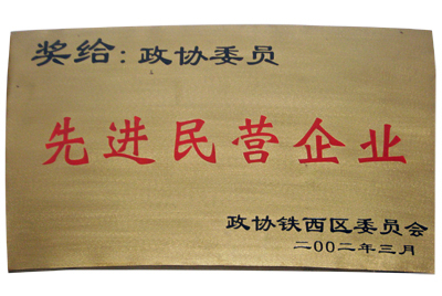 先进民营企业